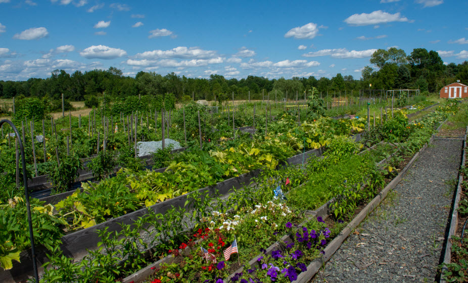 Wagner Farm Arboretum Foundation, United States